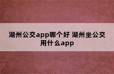 湖州公交app哪个好 湖州坐公交用什么app